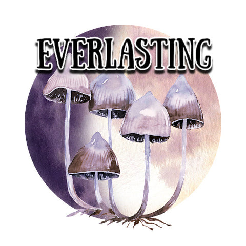 Everlasting - Permanent Collection
